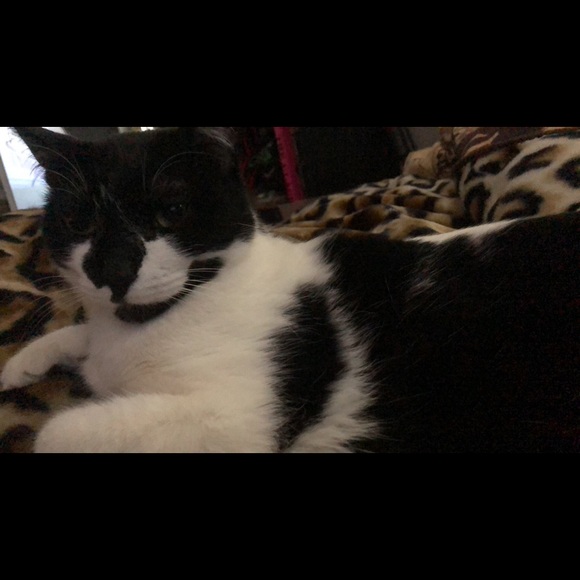 Meet your Posher, Stacy - Picture 1 of 1